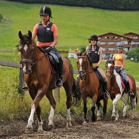 In Flachau - Salzburger Land 35292 Apartment