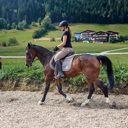 In Flachau - Salzburger Land 35292 Hundsdorfl