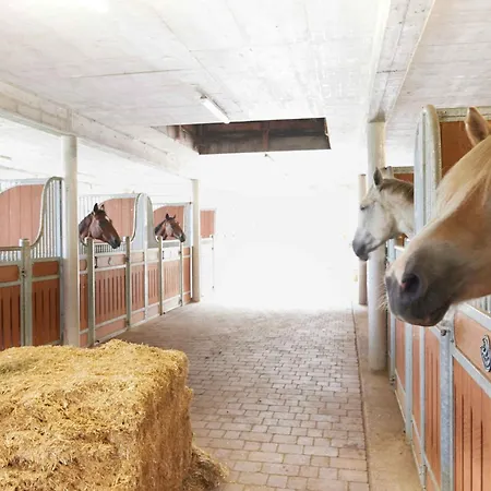 Apartment In - Salzburger Land 35292 *