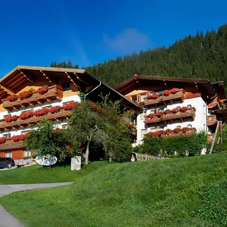 In - Salzburger Land 35292 Apartment Flachau