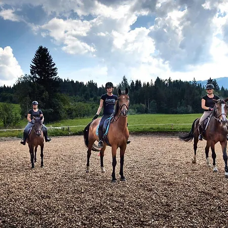 In - Salzburger Land 35292 아파트 플라차우