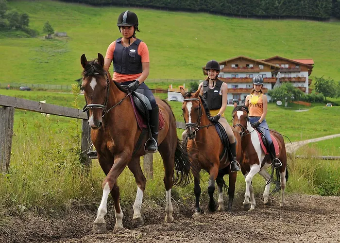 In - Salzburger Land 35292